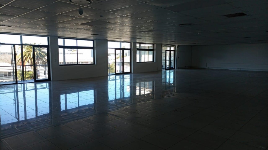 To Let commercial Property for Rent in Rondebosch Western Cape